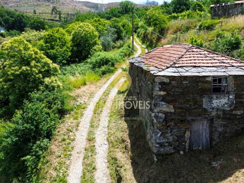 Moradia Devoluta T2 Venda em Real,Castelo de Paiva