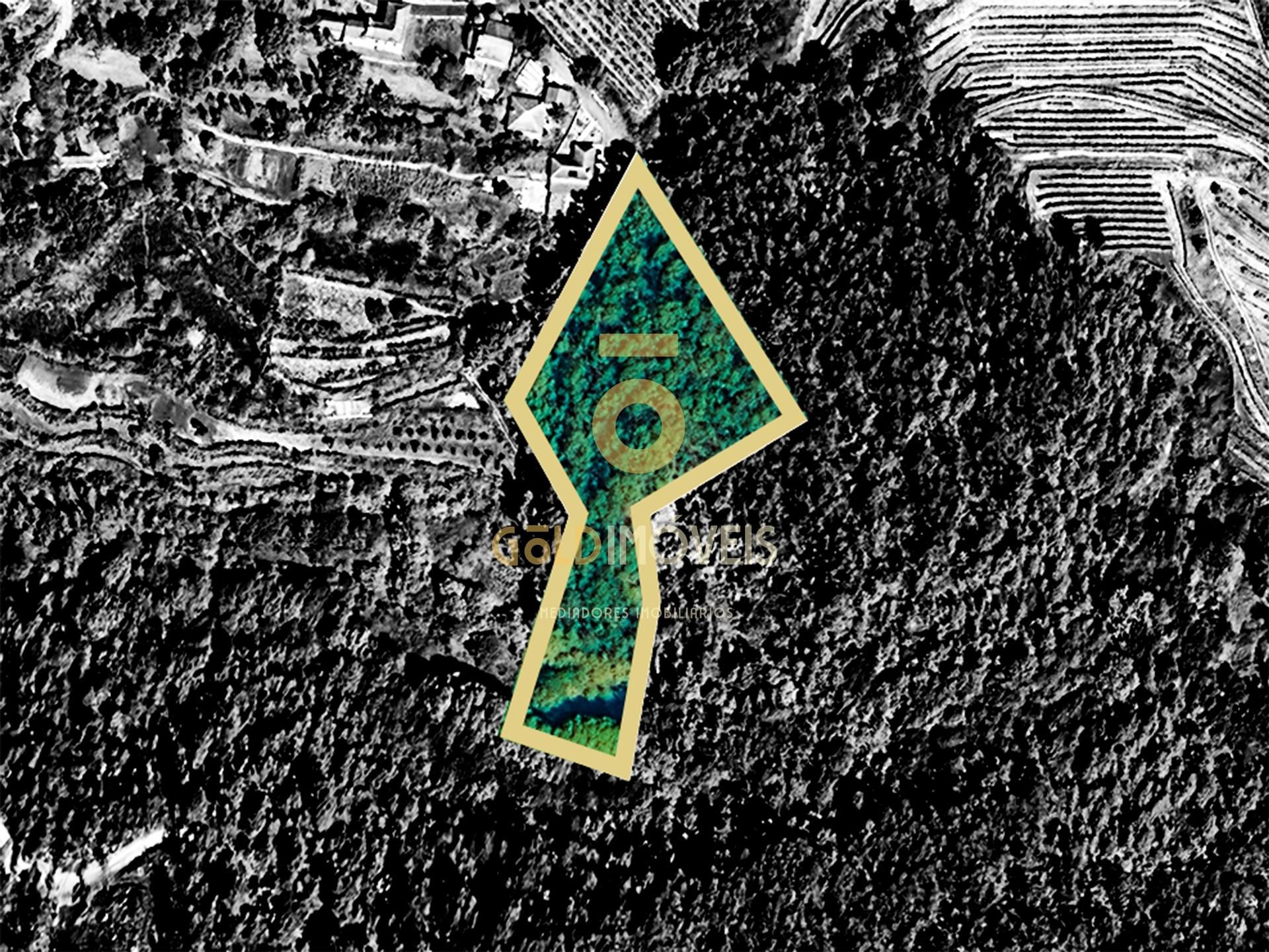 Terreno Rústico  Venda em Sobrado e Bairros,Castelo de Paiva