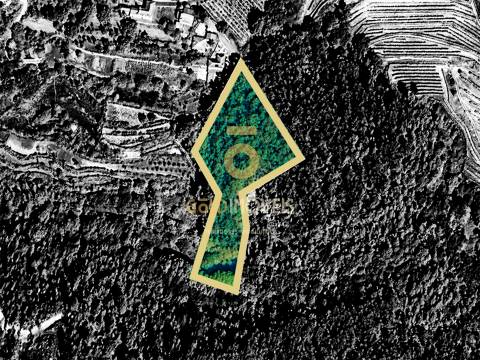 Terreno Rústico  Venda em Sobrado e Bairros,Castelo de Paiva
