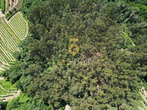 Terreno Rústico  Venda em Sobrado e Bairros,Castelo de Paiva