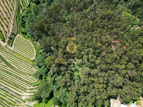 Terreno Rústico  Venda em Sobrado e Bairros,Castelo de Paiva
