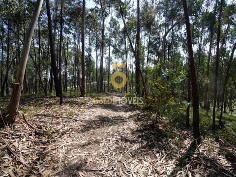 Terreno Rústico  Venda em Sobrado e Bairros,Castelo de Paiva