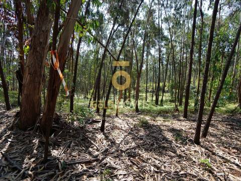 Terreno Rústico  Venda em Sobrado e Bairros,Castelo de Paiva