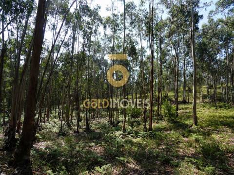 Terreno Rústico  Venda em Sobrado e Bairros,Castelo de Paiva