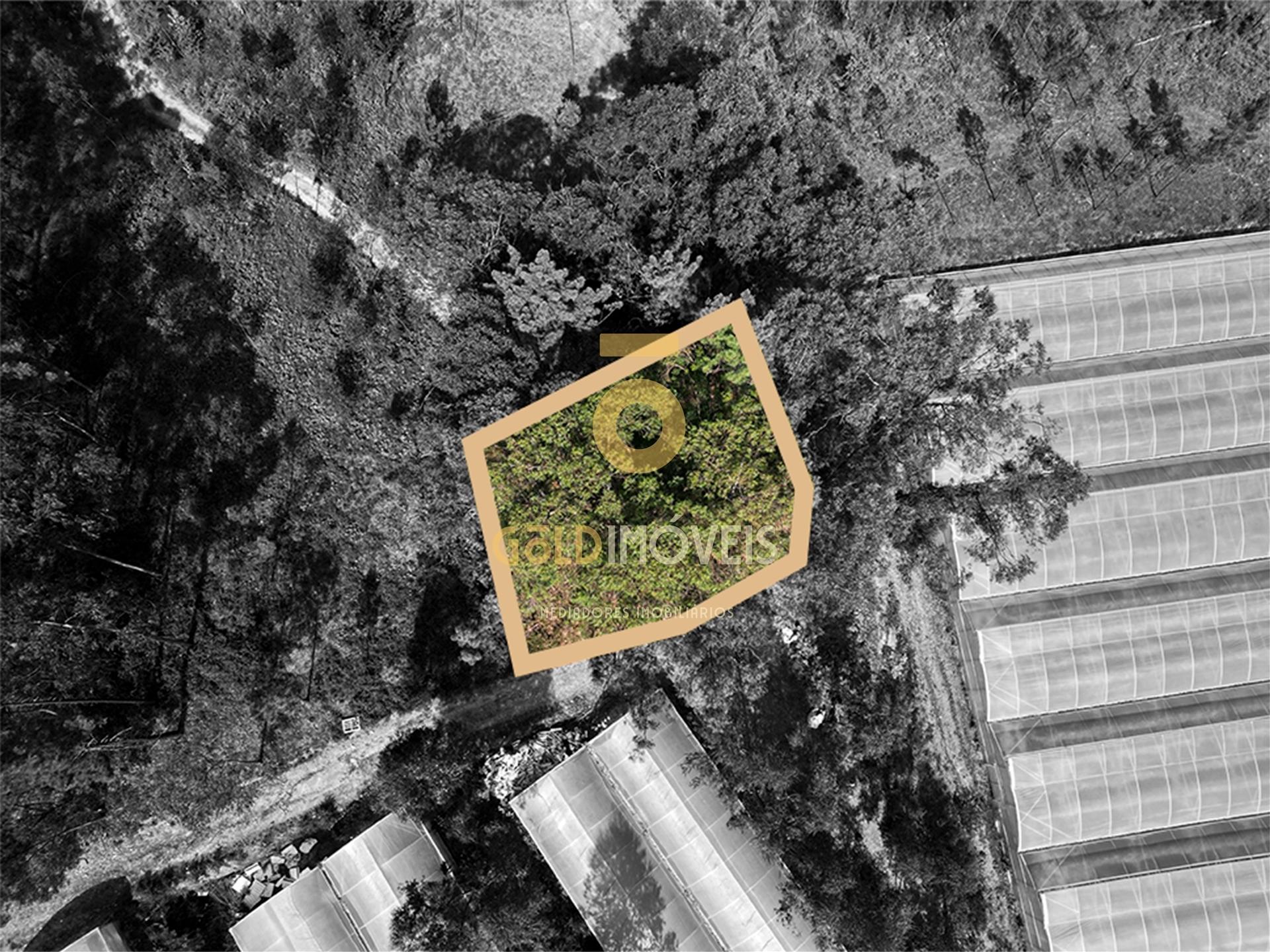 Terreno Rústico  Venda em Sobrado e Bairros,Castelo de Paiva