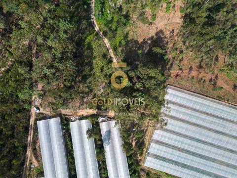 Terreno Rústico  Venda em Sobrado e Bairros,Castelo de Paiva