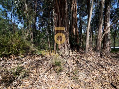 Terreno Rústico  Venda em Sobrado e Bairros,Castelo de Paiva