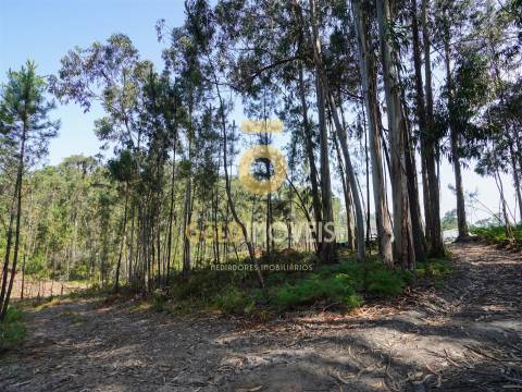Terreno Rústico  Venda em Sobrado e Bairros,Castelo de Paiva