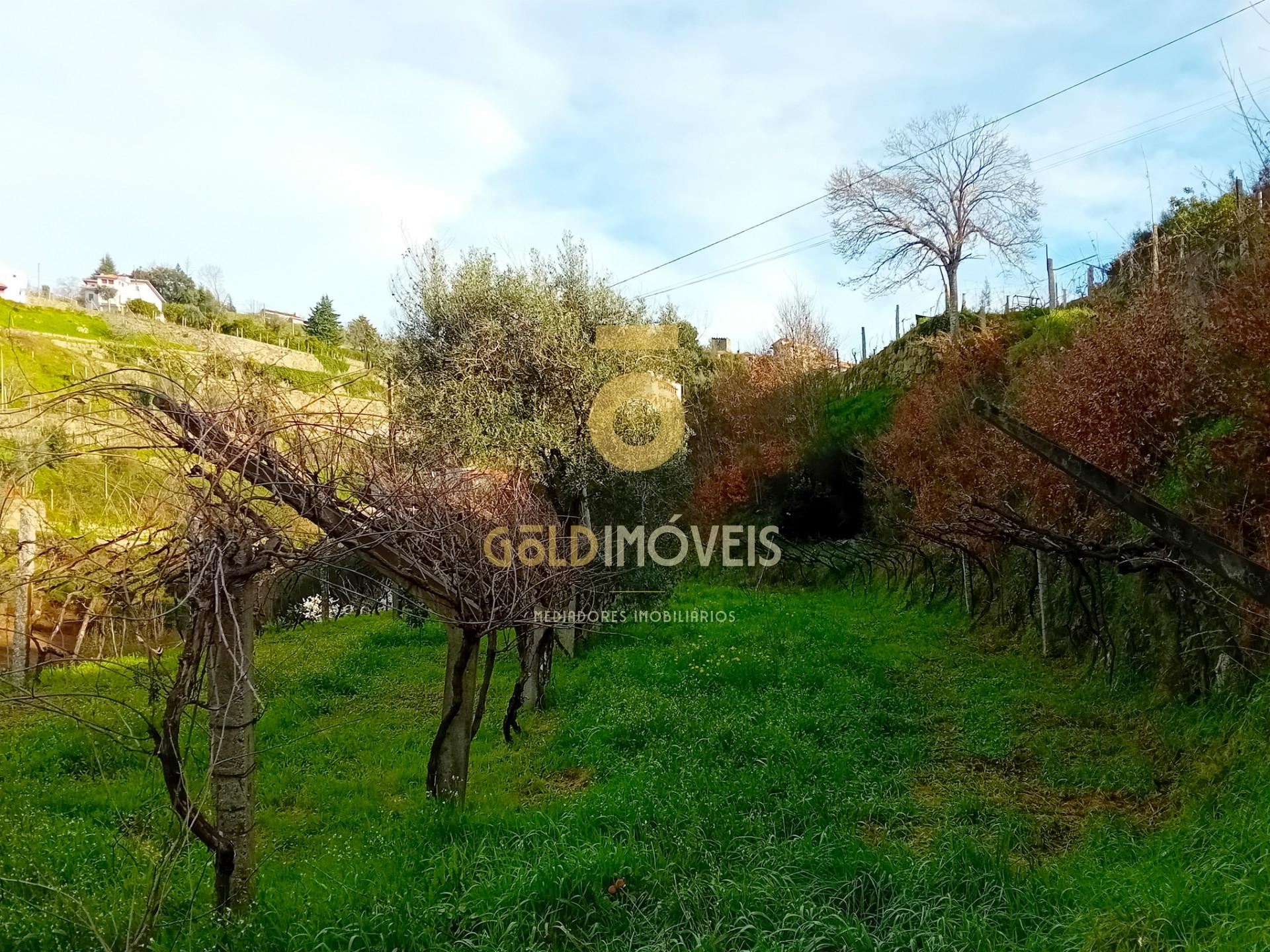 Moradia T3 Venda em Santa Maria de Sardoura,Castelo de Paiva