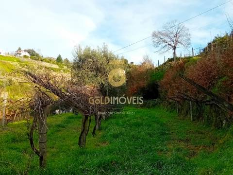 Moradia T3 Venda em Santa Maria de Sardoura,Castelo de Paiva