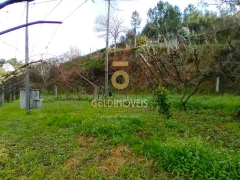 Moradia T3 Venda em Santa Maria de Sardoura,Castelo de Paiva