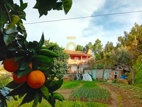 Moradia T3 Venda em Santa Maria de Sardoura,Castelo de Paiva
