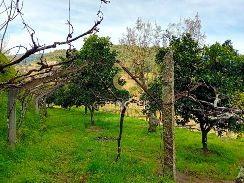 Moradia T3 Venda em Santa Maria de Sardoura,Castelo de Paiva