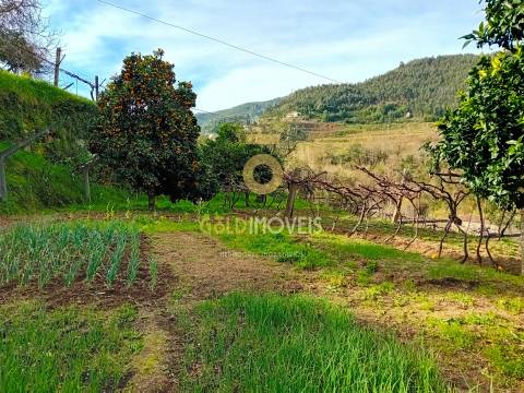 Moradia T3 Venda em Santa Maria de Sardoura,Castelo de Paiva