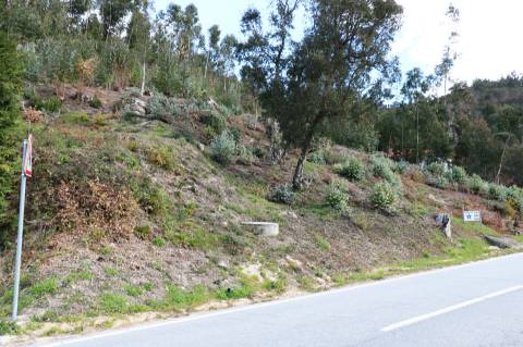 Terreno  Venda em Geraz do Minho,Póvoa de Lanhoso