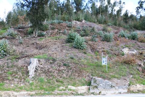 Terreno  Venda em Geraz do Minho,Póvoa de Lanhoso