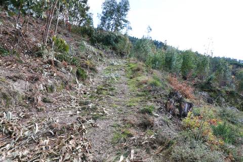 Terreno  Venda em Geraz do Minho,Póvoa de Lanhoso