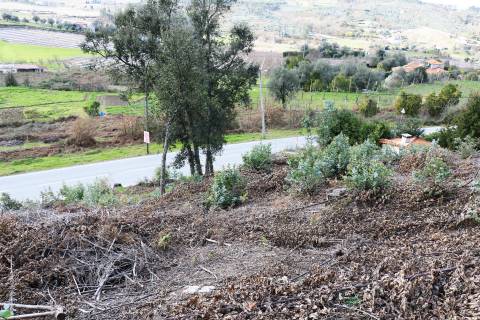 Terreno  Venda em Geraz do Minho,Póvoa de Lanhoso