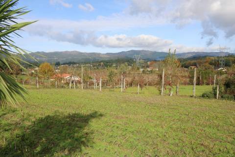 Terreno Rústico  Venda em Monsul,Póvoa de Lanhoso