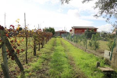 Terreno Rústico  Venda em Monsul,Póvoa de Lanhoso