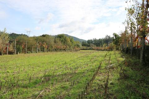 Terreno Rústico  Venda em Monsul,Póvoa de Lanhoso