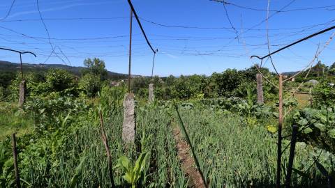 Quinta T4 Venda em Monsul,Póvoa de Lanhoso