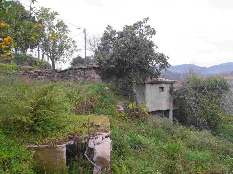 Moradia Isolada T2 Venda em São João de Rei,Póvoa de Lanhoso
