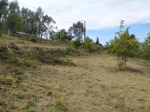 Moradia Isolada T2 Venda em São João de Rei,Póvoa de Lanhoso