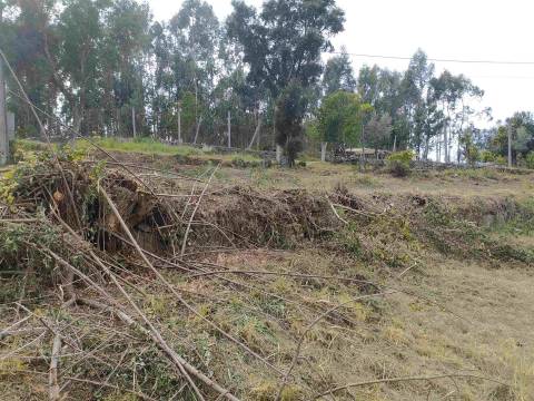 Moradia Isolada T2 Venda em São João de Rei,Póvoa de Lanhoso