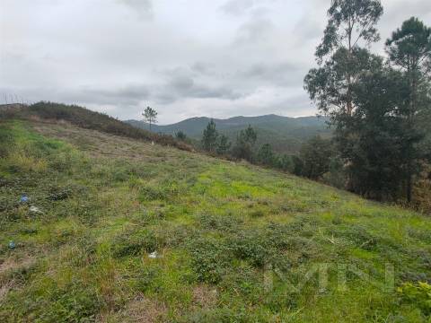 Terreno 6860m2 zona Ren.