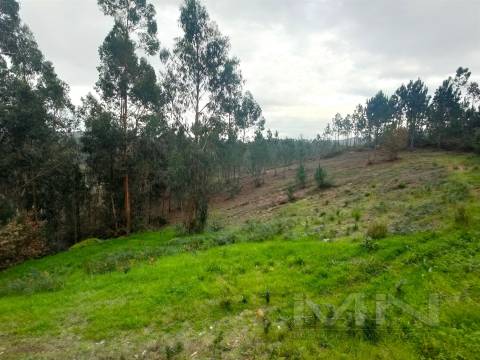 Terreno 6860m2 zona Ren.