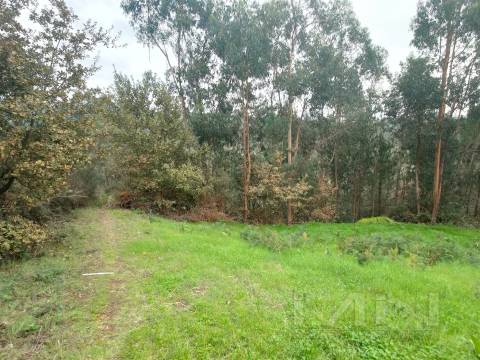 Terreno 6860m2 zona Ren.