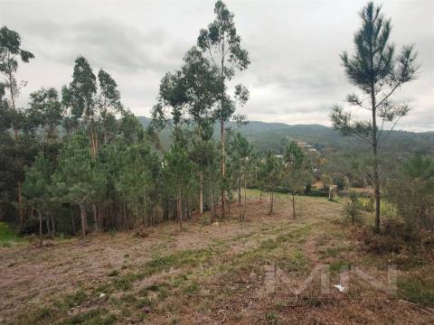 Terreno 6860m2 zona Ren.