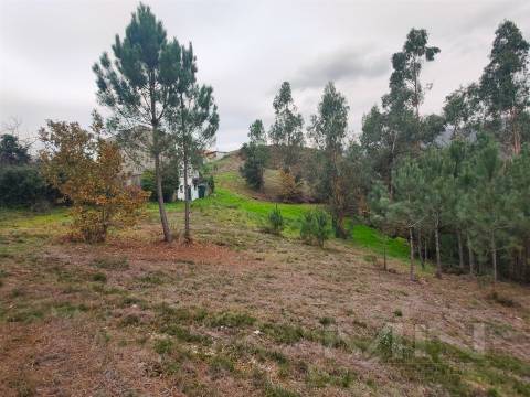 Terreno 6860m2 zona Ren.