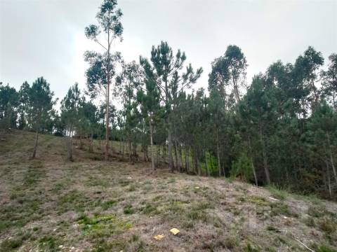 Terreno 6860m2 zona Ren.