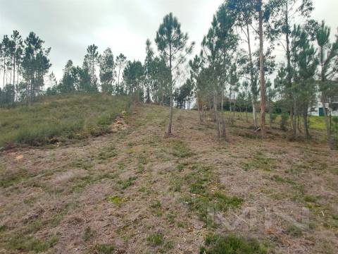 Terreno 6860m2 zona Ren.