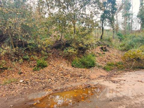 Terreno 6860m2 zona Ren.