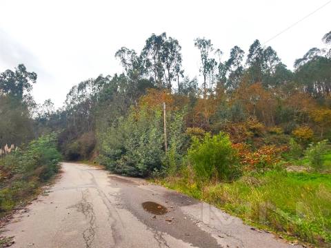 Terreno 6860m2 zona Ren.