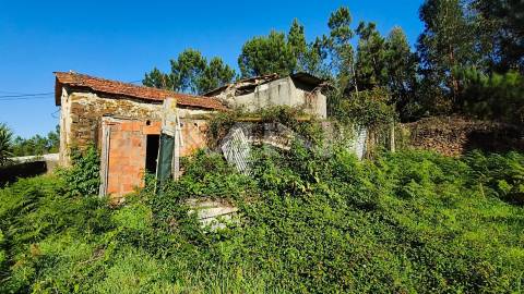 Moradia térrea p/reabilitação - 700m de terreno