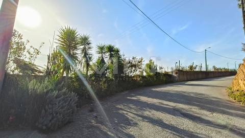 Terreno murado com construção - 2100m2