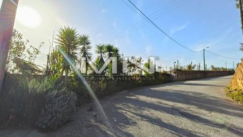 Terreno murado para construção -1299m2