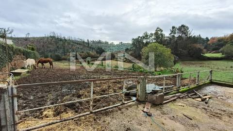 Terreno murado para construção -1299m2