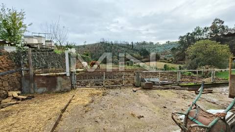 Terreno murado para construção -1299m2