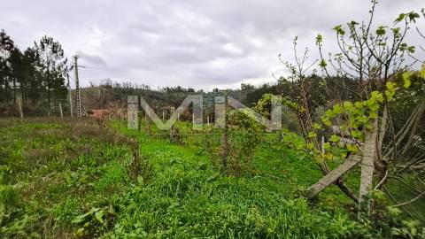 Terreno murado para construção -1299m2