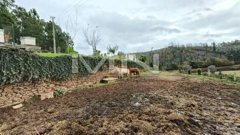 Terreno murado para construção -1299m2
