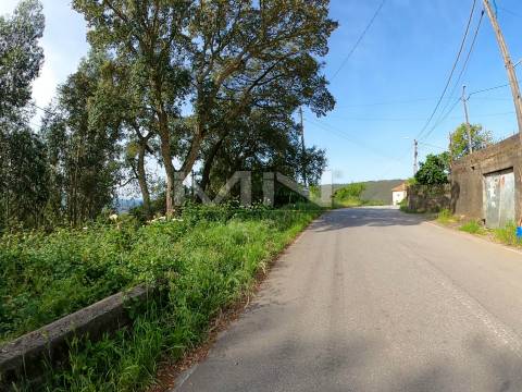 510m2 de Natureza a um Passo do Porto - 2 frentes