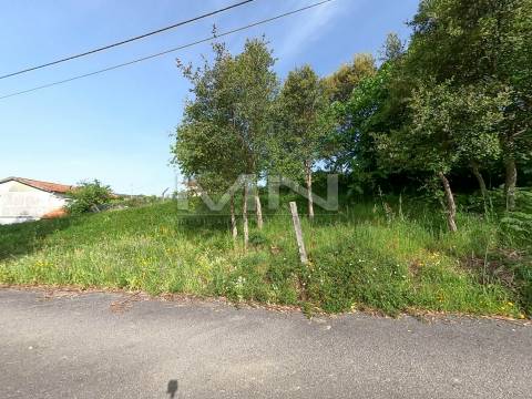 510m2 de Natureza a um Passo do Porto - 2 frentes