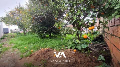 Lote de Terreno  Venda em Póvoa de Varzim, Beiriz e Argivai,Póvoa de Varzim