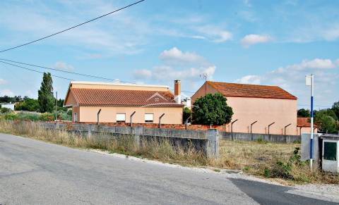 Terreno com viabilidade a 5 min de Tomar – 1120 m²