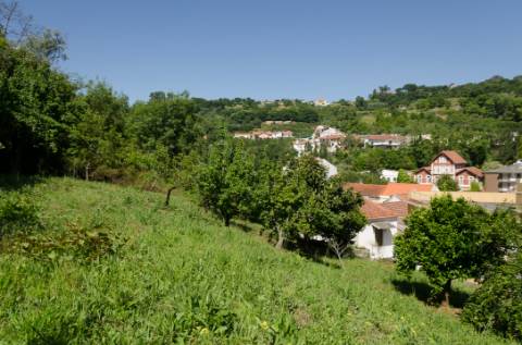 Prédio no centro de Alcobaça